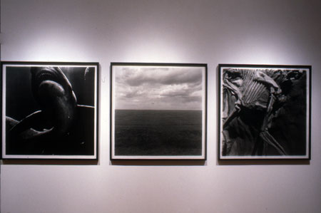 Le paysage et les choses, Richard Baillargeon (1997)