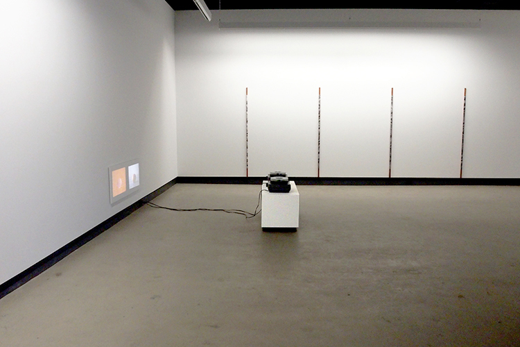 Rotations (2014). Vue de l'exposition